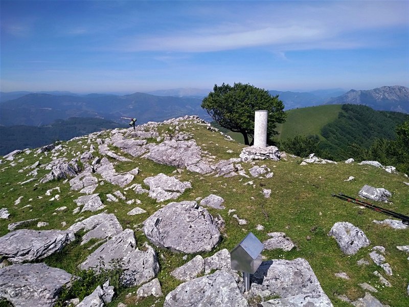 Tontorra
