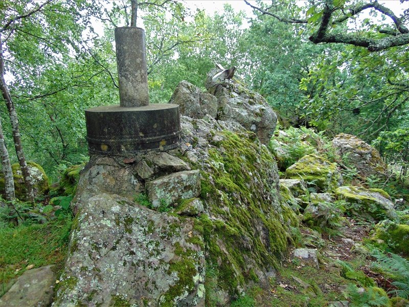 Tontorra
