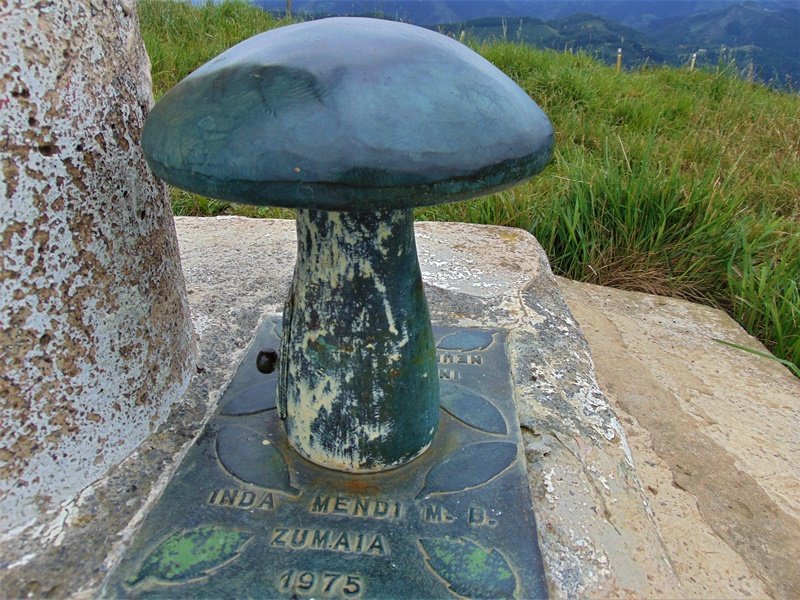 Buzoia