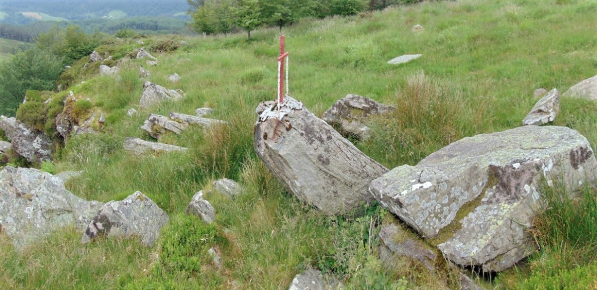 Tontorra
