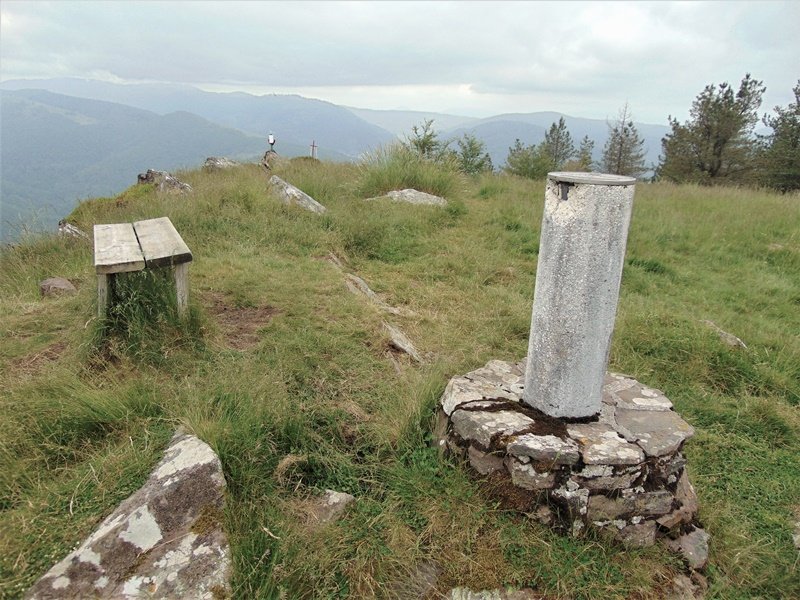 Tontorra