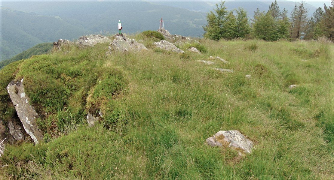 Tontorra