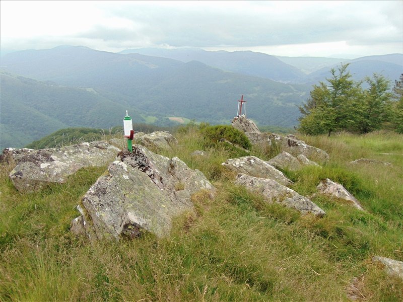 Tontorra