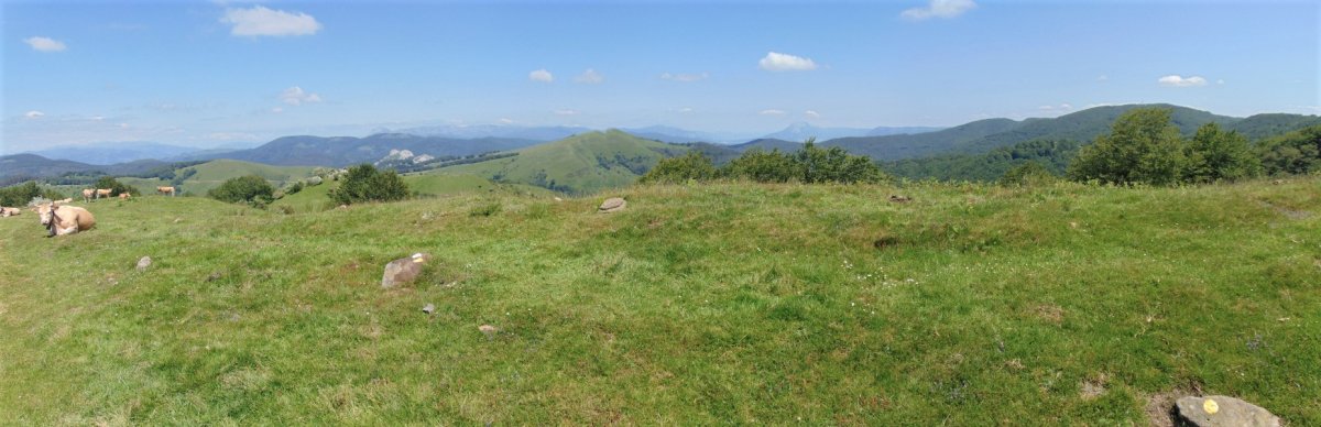 Tontorra