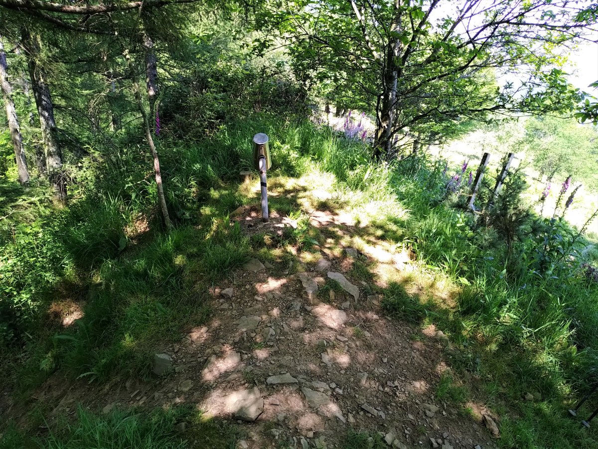 Tontorra