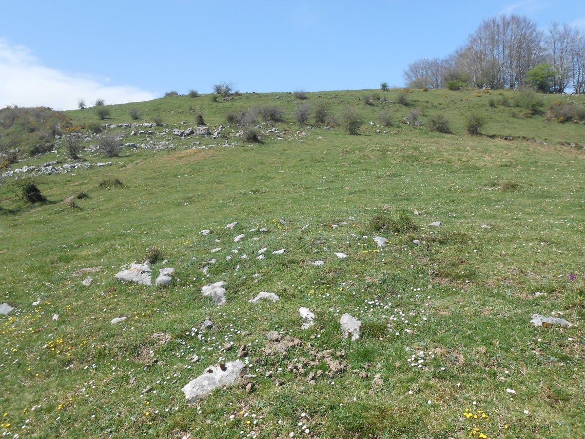 berroeta