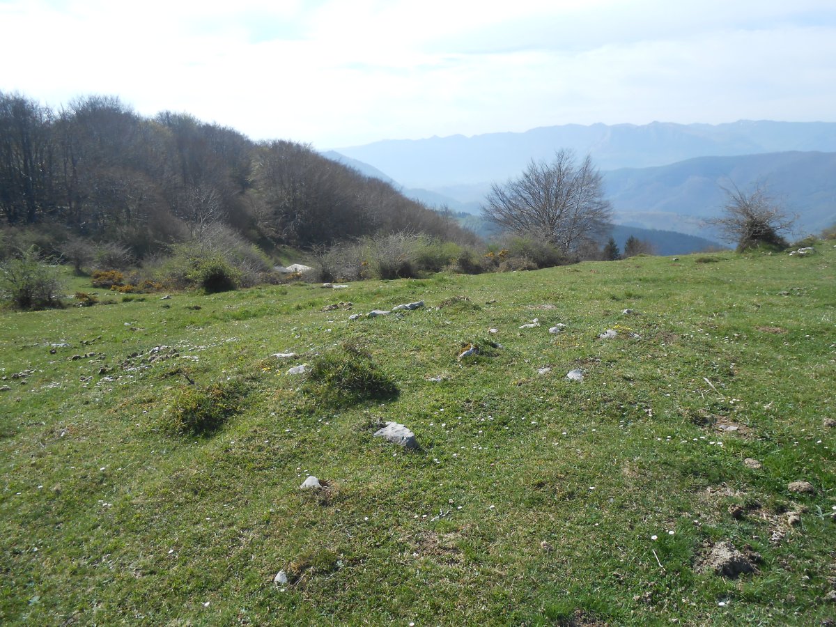 berroeta