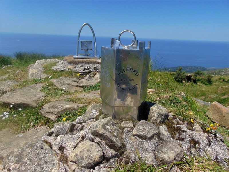Buzoia
