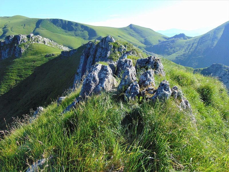 Tontorra