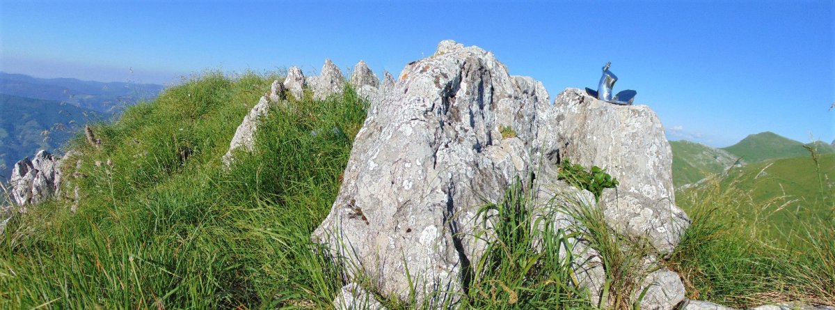 Tontorra