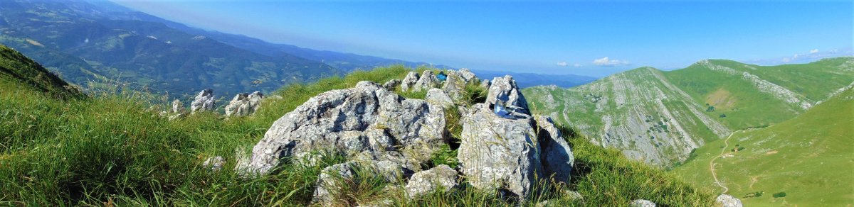 Tontorra