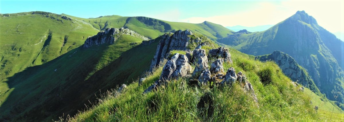 Tontorra