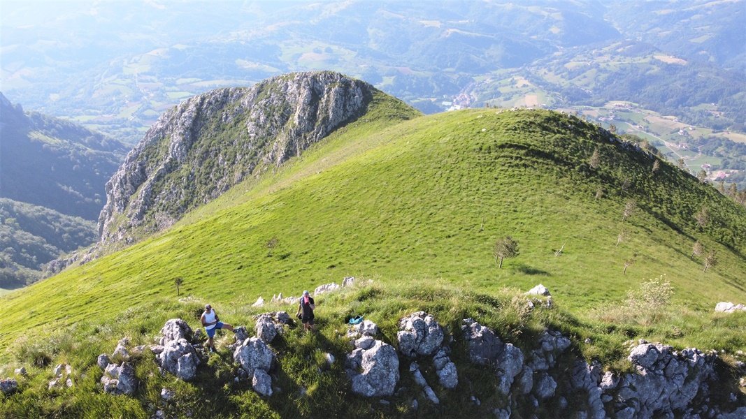 Tontorra