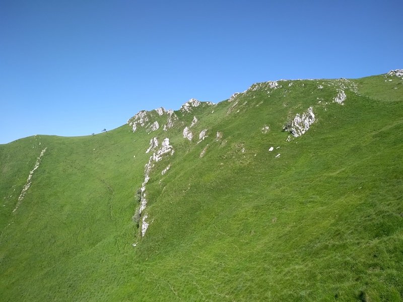 Larraone