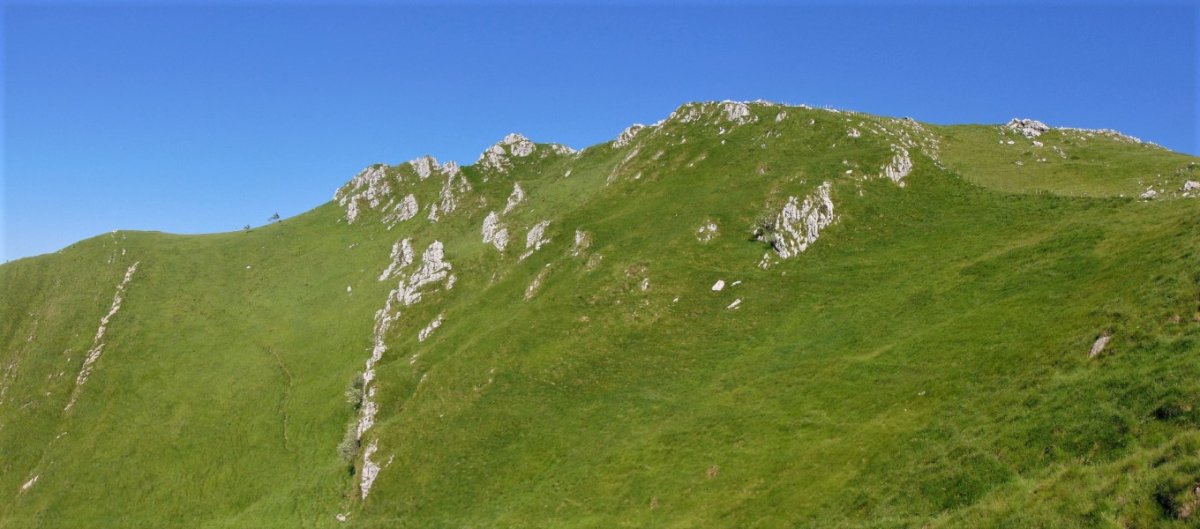 Larraone
