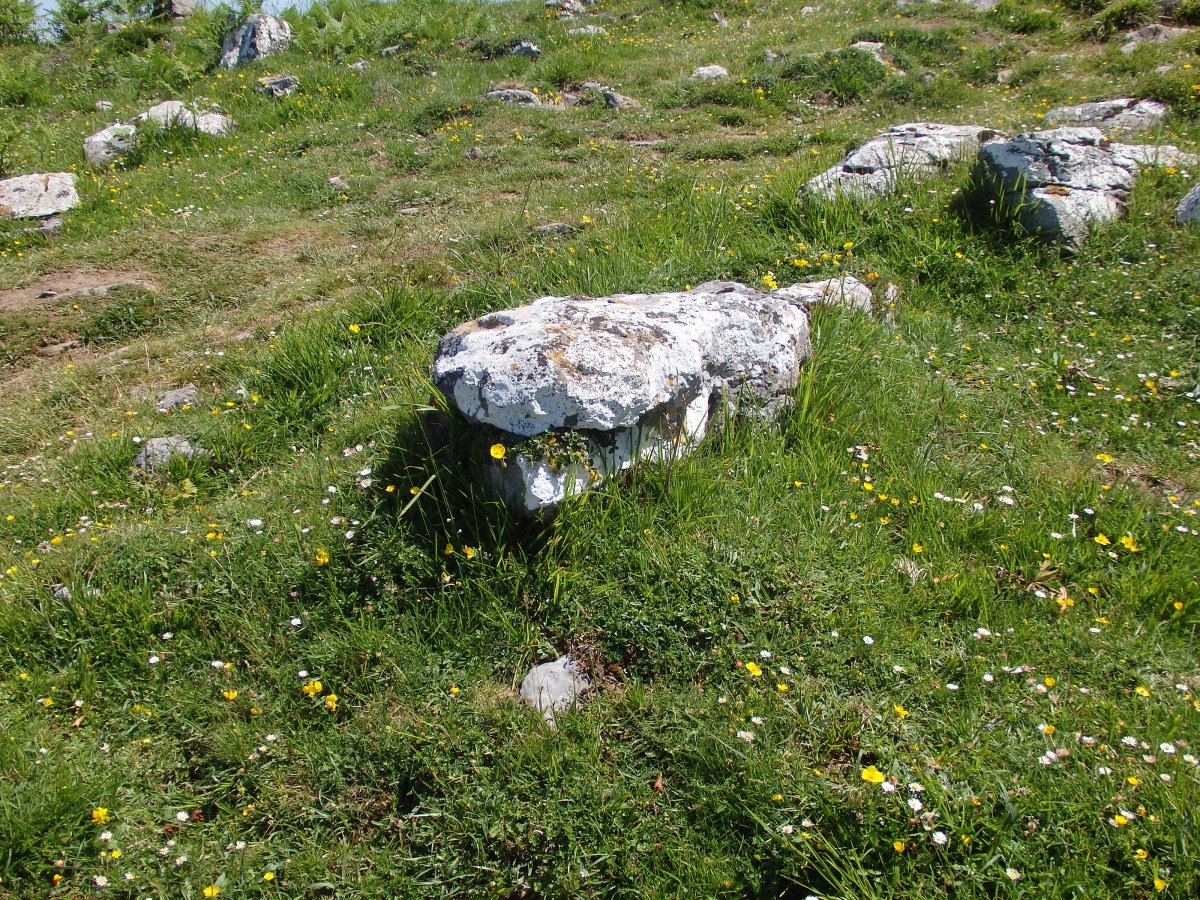 ERROIZPE zutarri