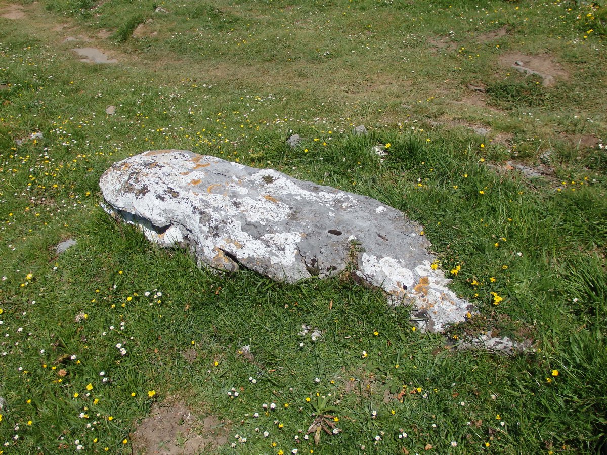 ERROIZPE zutarri