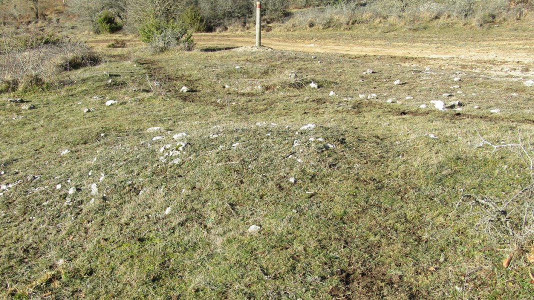 manzuruturri 2