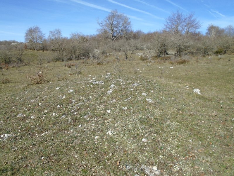 manzuruturri 4