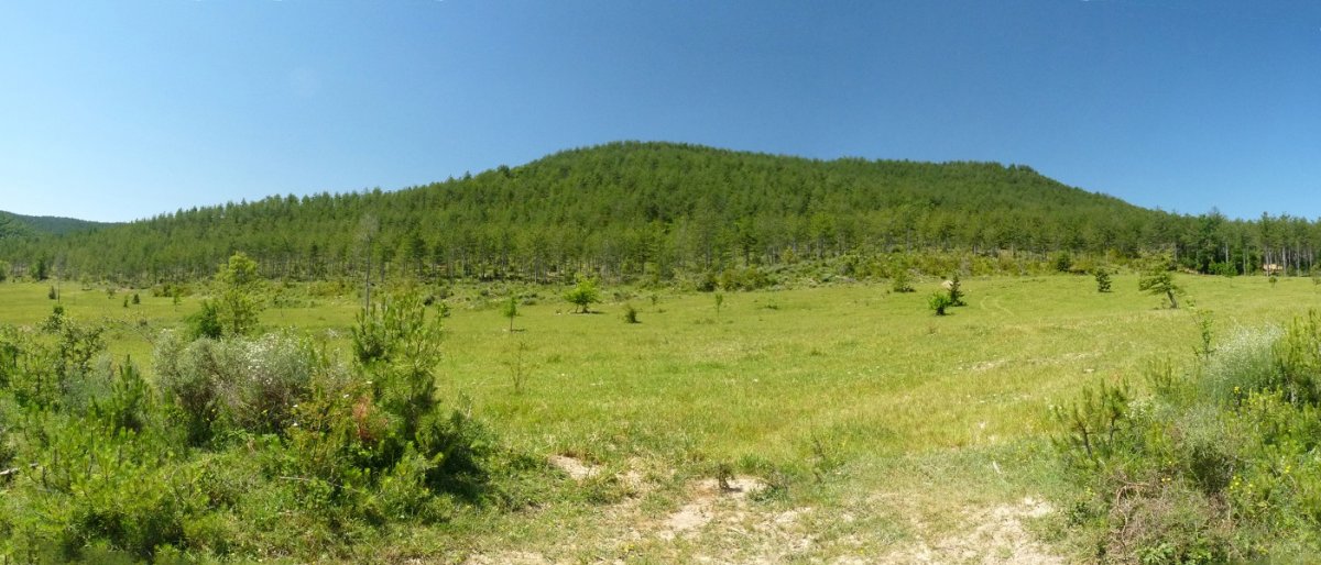 Karrazketa