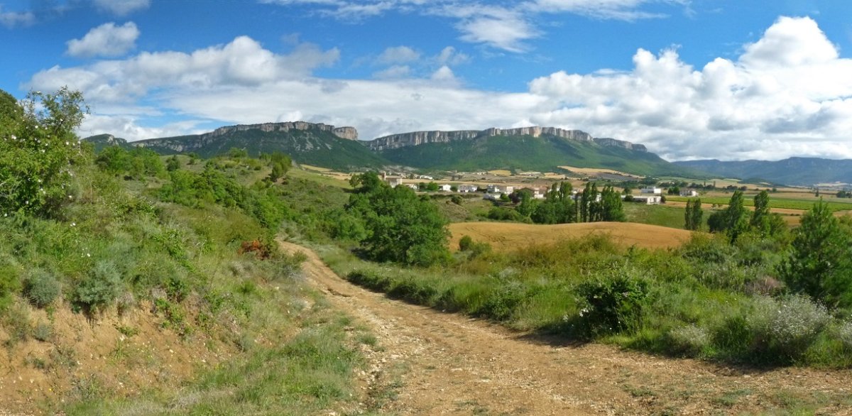Metauten