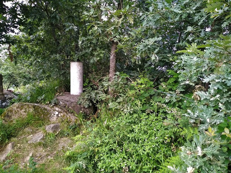 Erpin Geodesikoa