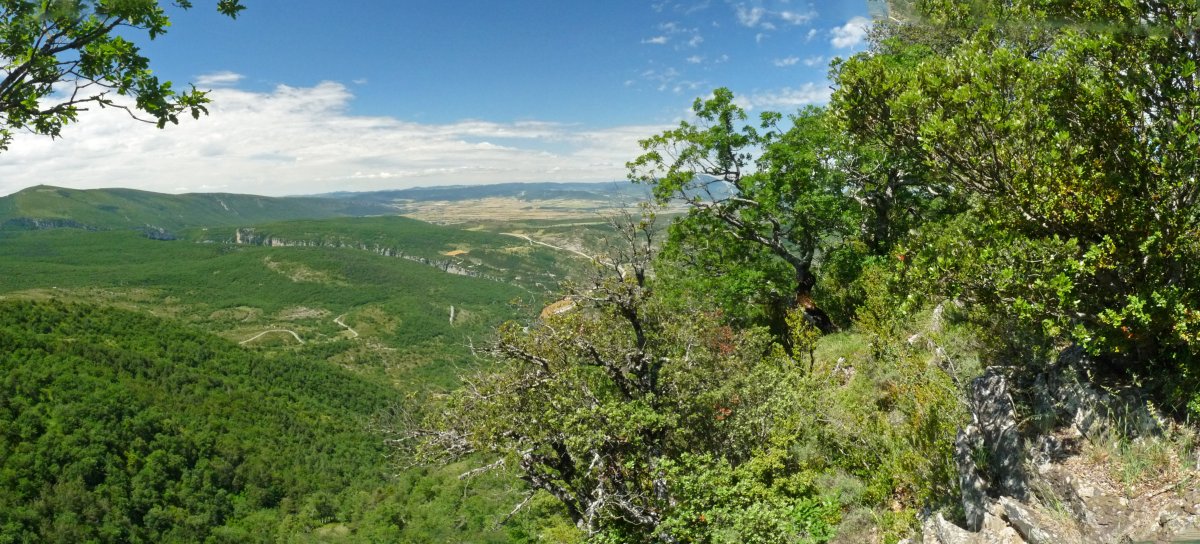 Ekialdeko gailurra