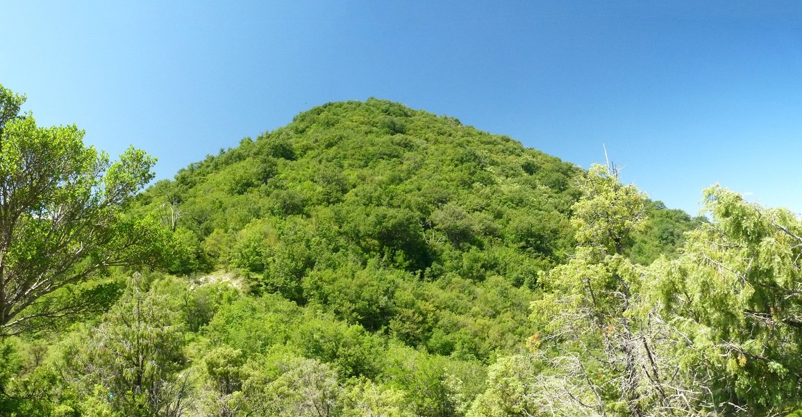 Surgurin