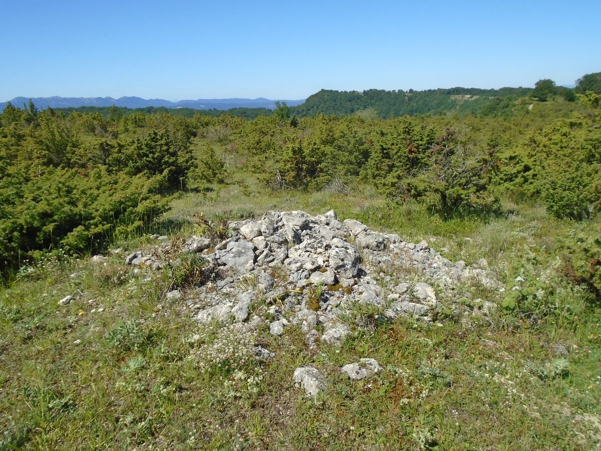 arburu