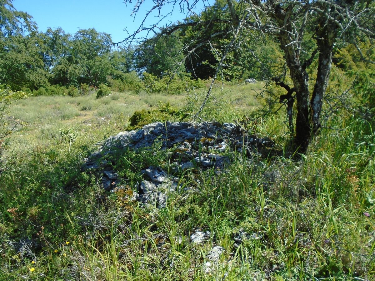 arburu