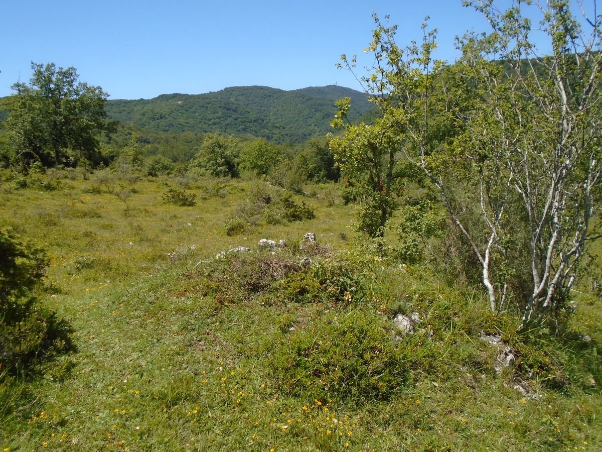 basaburu