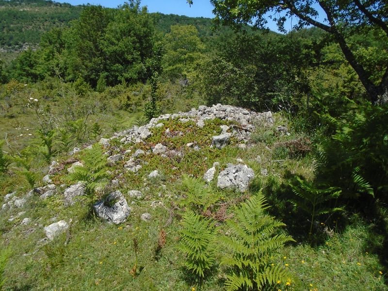 basaburu