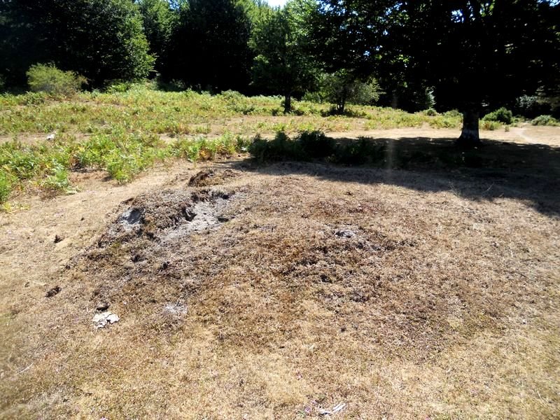 larrazabal - 2