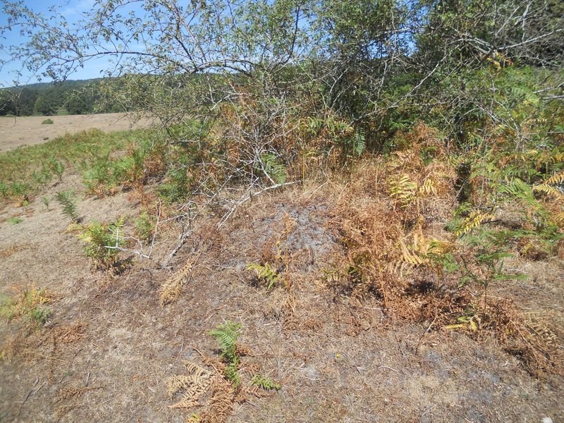 larrazabal - 4