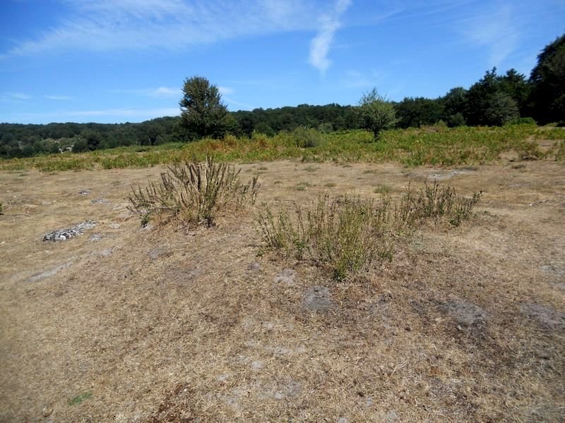 larrazabal - 5