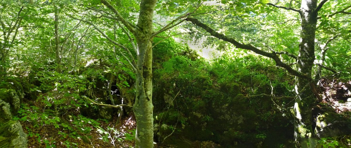 Lazkuetako gailurra