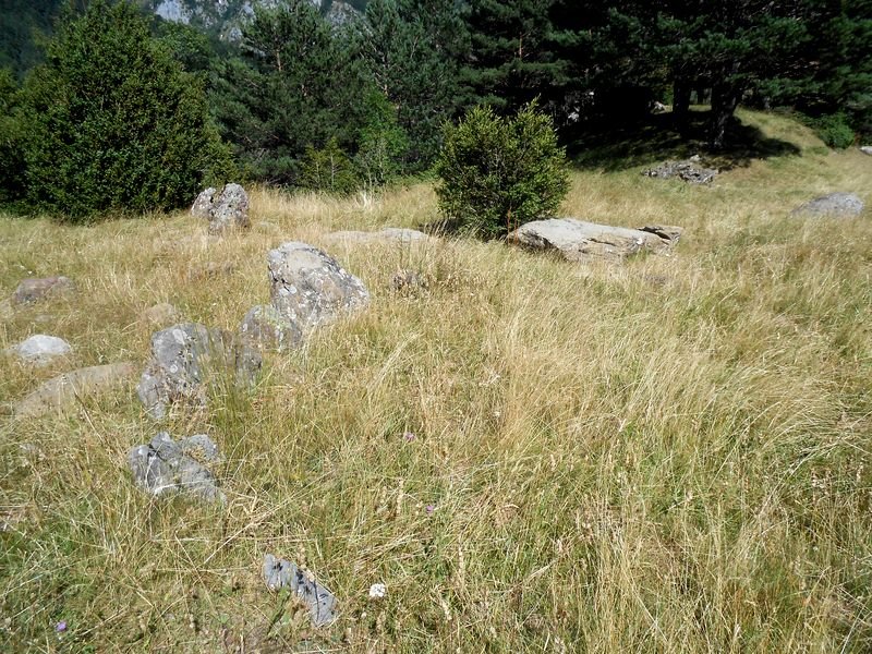 rioseta