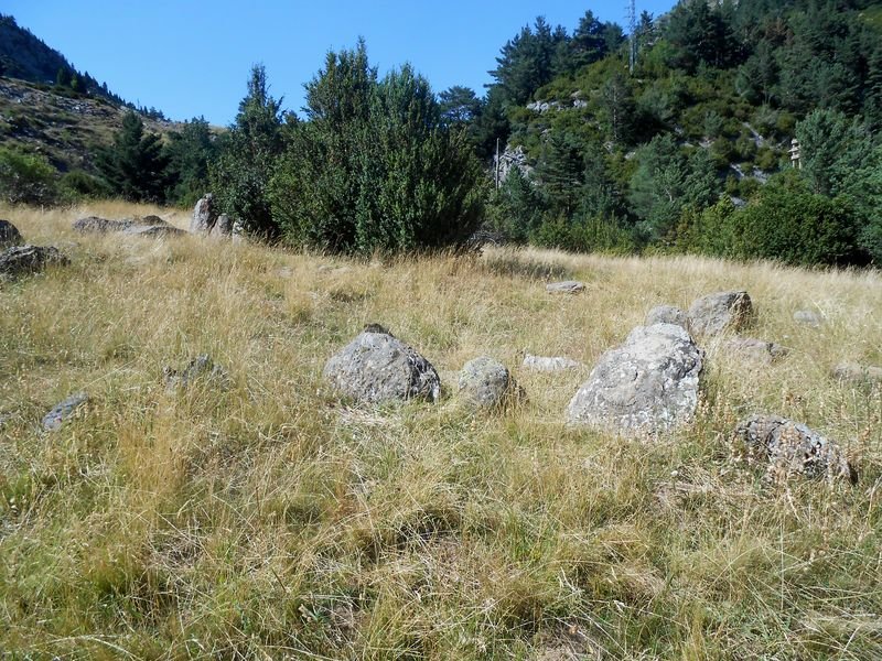 rioseta