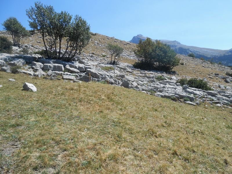plano de la balsa