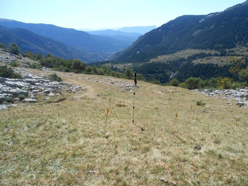 plano de la balsa