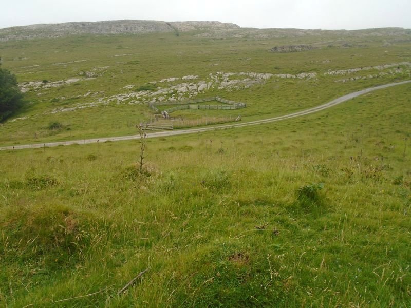 leizehandi
