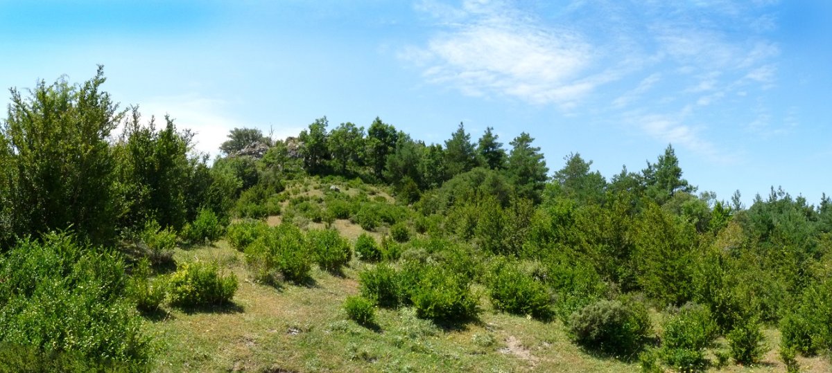 Sandoain, gainaldea