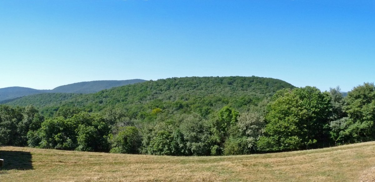Loiaundi