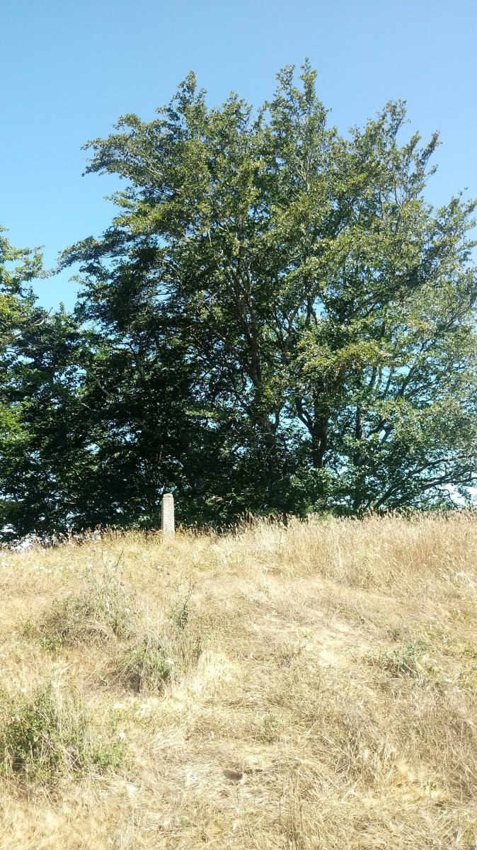 Marabilleta M. (1052m) tontorra