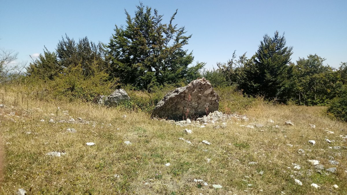 San Juan trikuharria