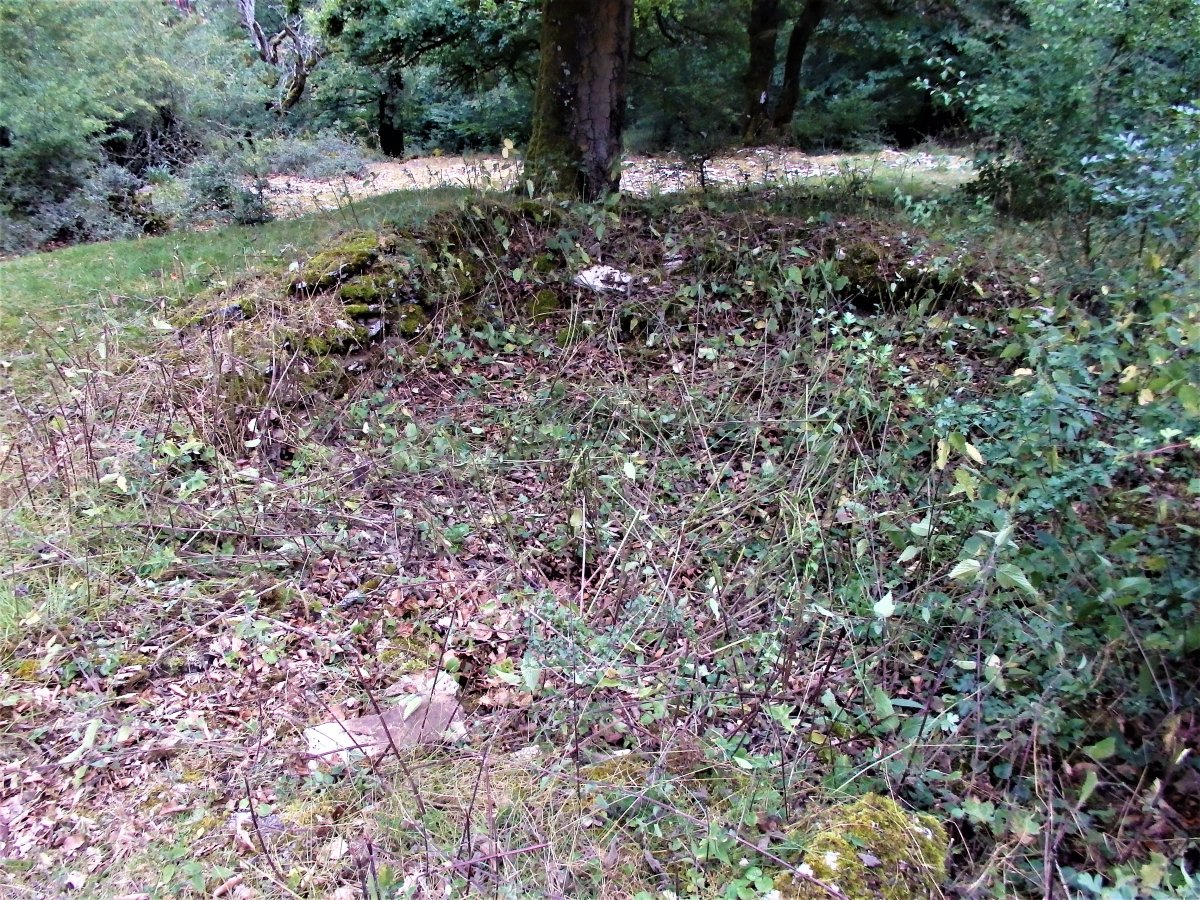 LA CAÑADA II