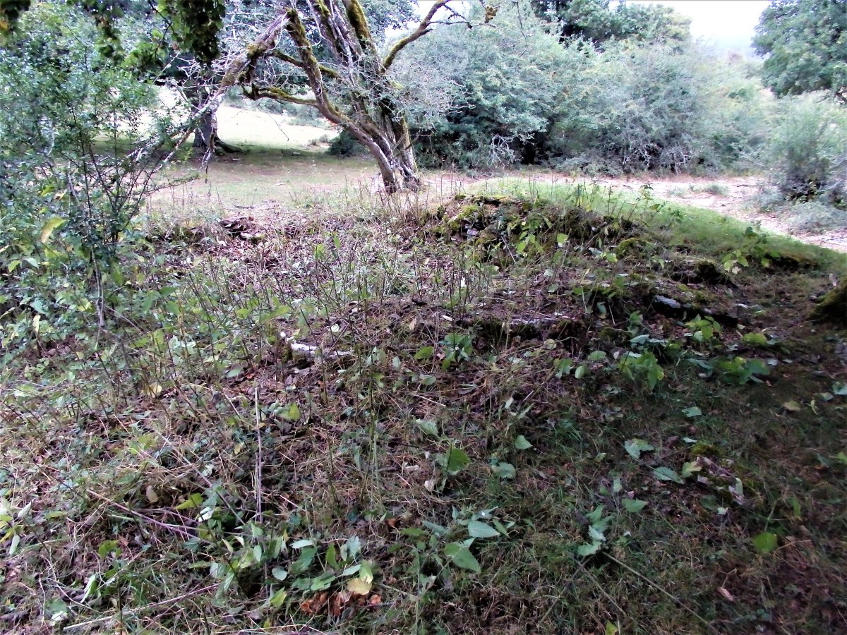 LA CAÑADA II