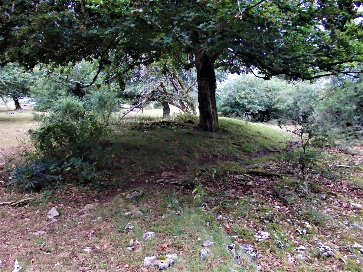 LA CAÑADA II