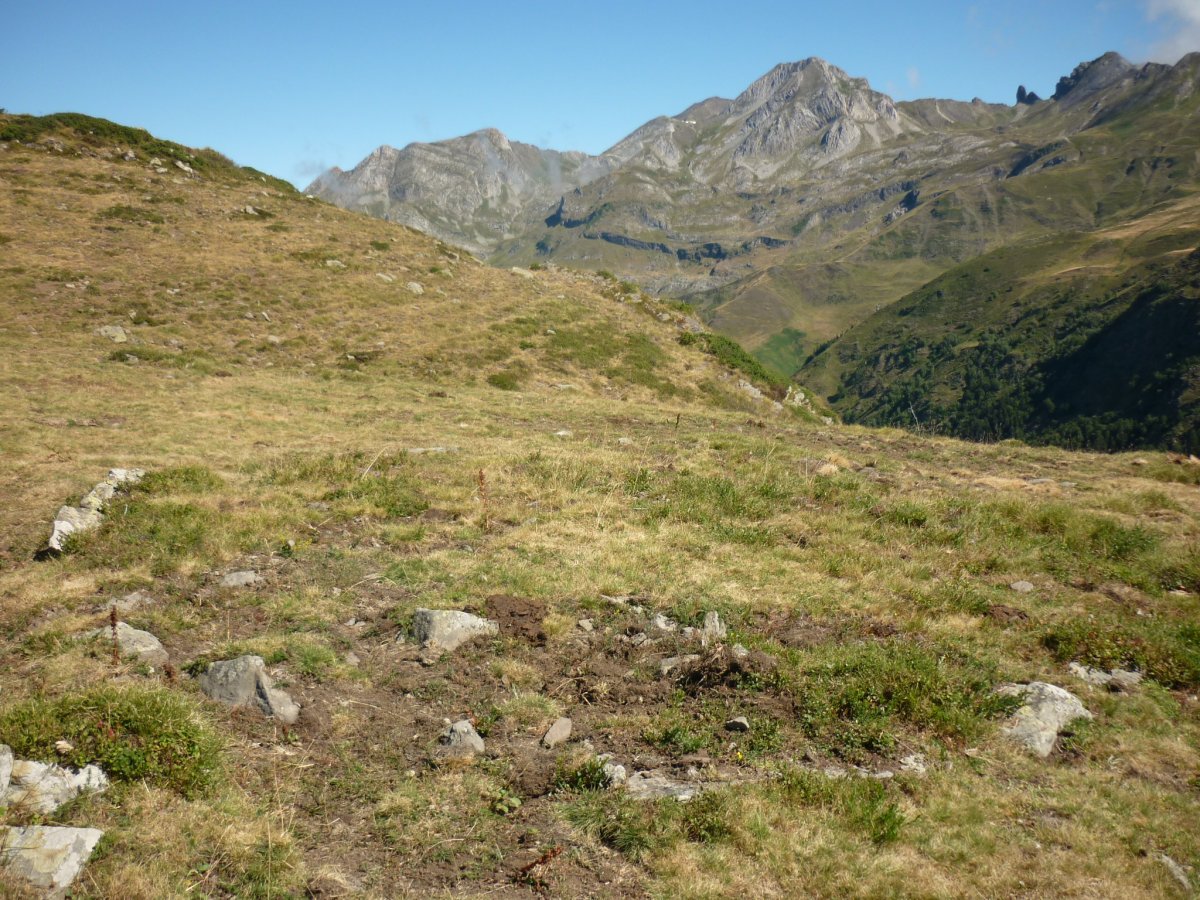 2. harrespila