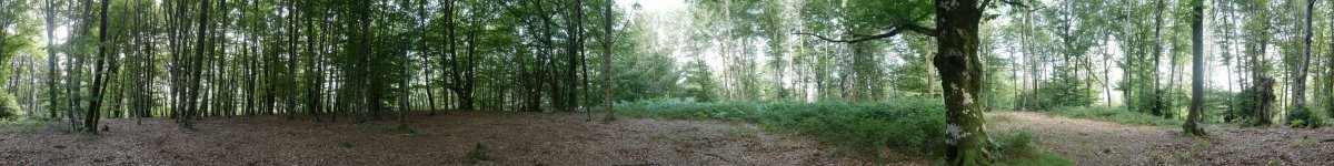 Gailurreko panoramika